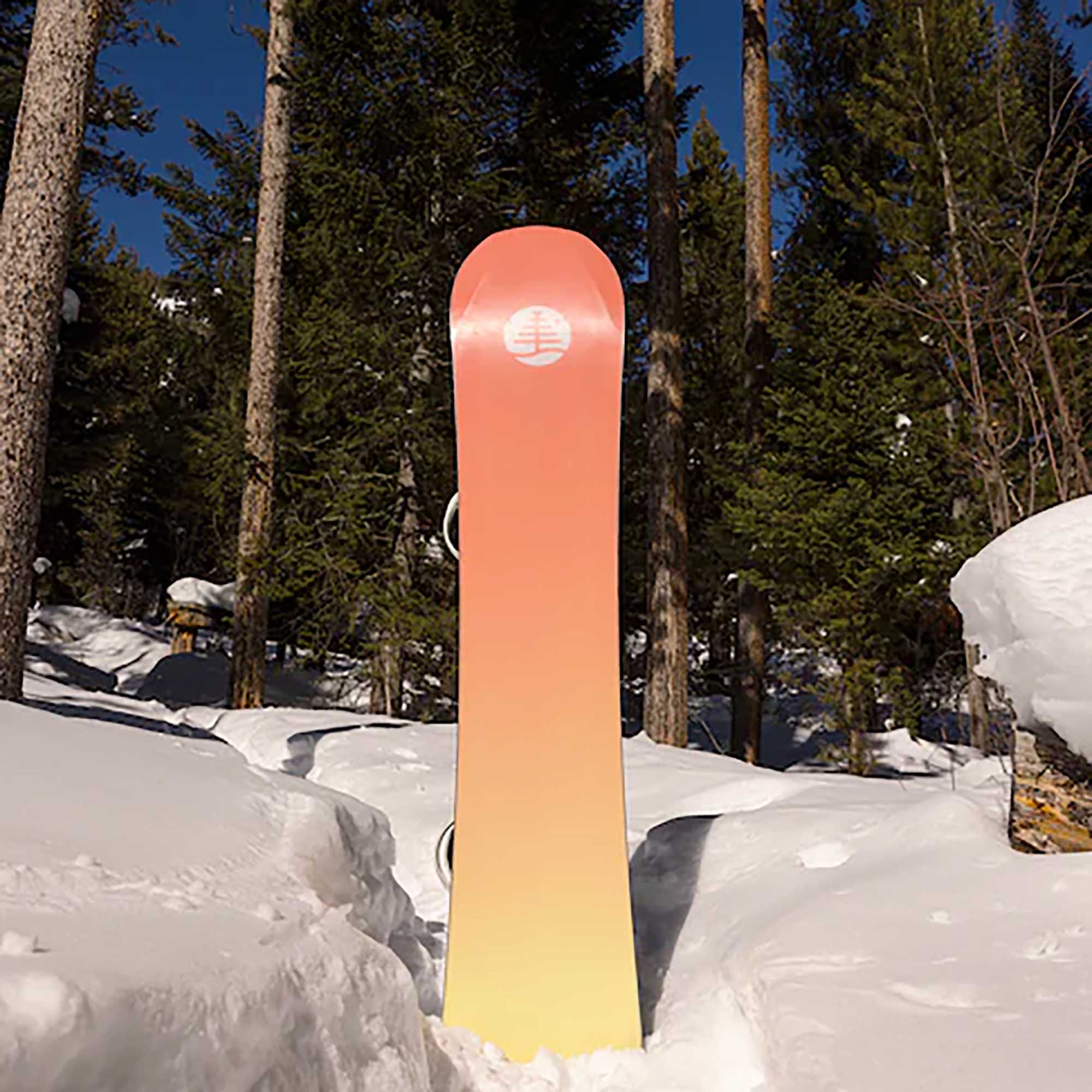 Burton Family Tree 3D Daily Driver Snowboards 2024