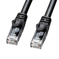 サンワサプライ 屋外用防水カテゴリ6A LANケーブル(ブラック・20m) KB