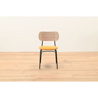 軒先渡し】HIKARI ワークカフェダイニング ダイニングチェア スチール