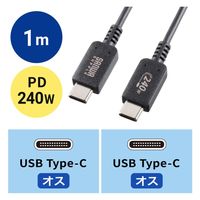 サンワサプライ USB5Gbps Type-Cケーブル（PD75W・DP Altモード対応