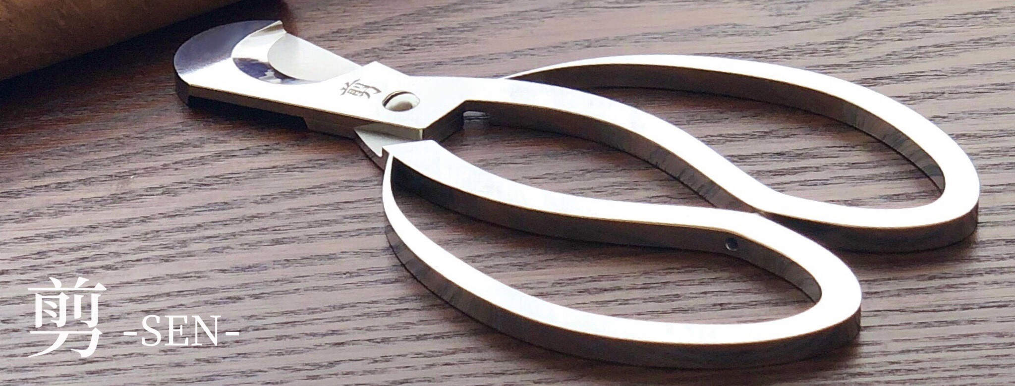 剪 - 髪を傷めない美容ハサミ｜サイキシザーズ