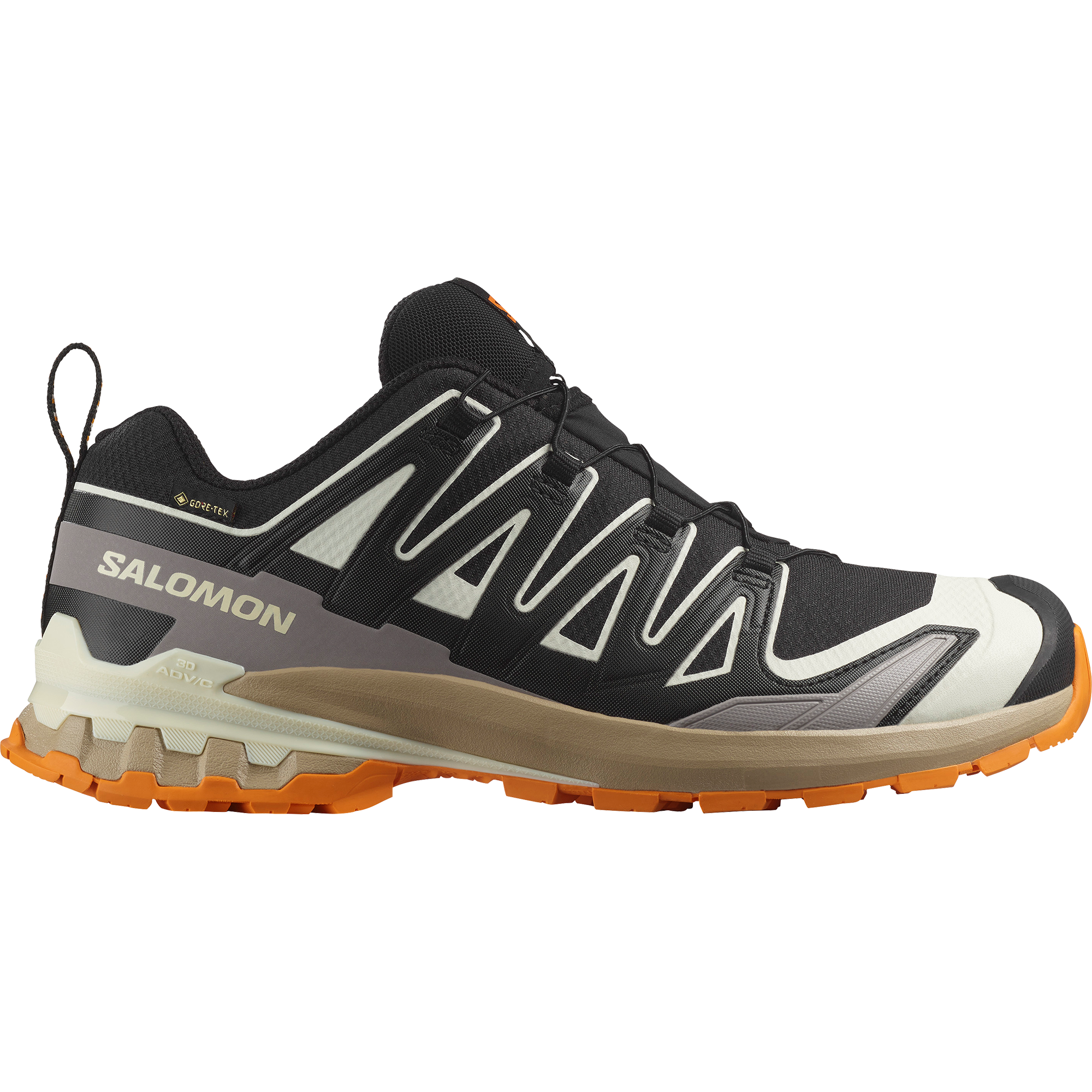 XA PRO 3D V9 GORE-TEX Black | Salomon
