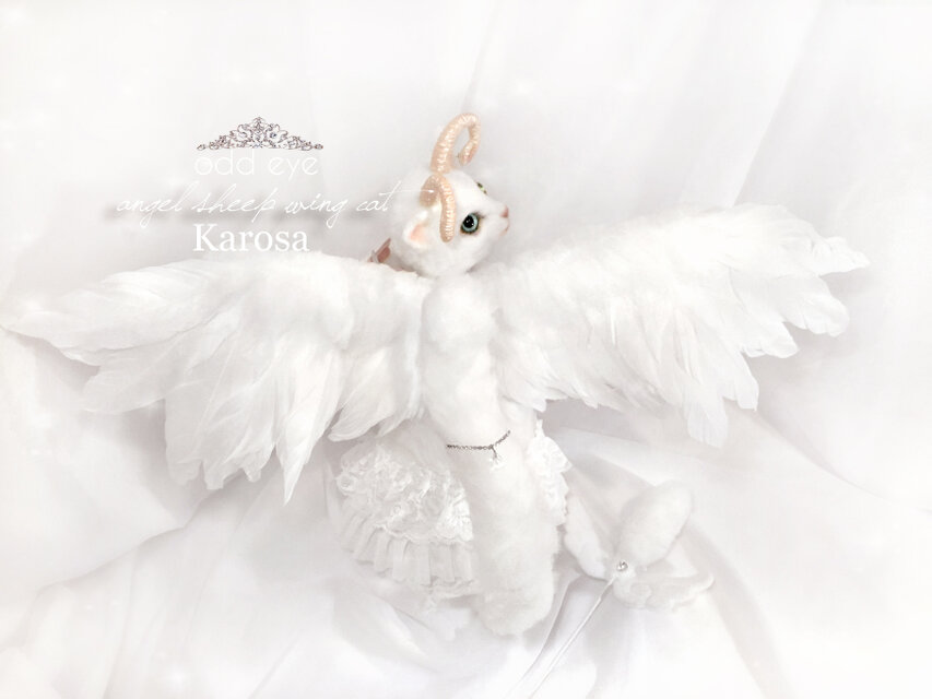 エンジェルシープキャット ホワイトウィングキャット 白猫 首輪 ドレス