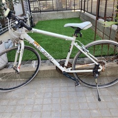 福岡県のルイガノの中古が安い！激安で譲ります・無料であげます