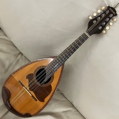 マンドリン ケース 楽器の中古が安い！激安で譲ります・無料であげます