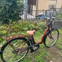 RAFFINIの中古が安い！激安で譲ります・無料であげます｜ジモティー