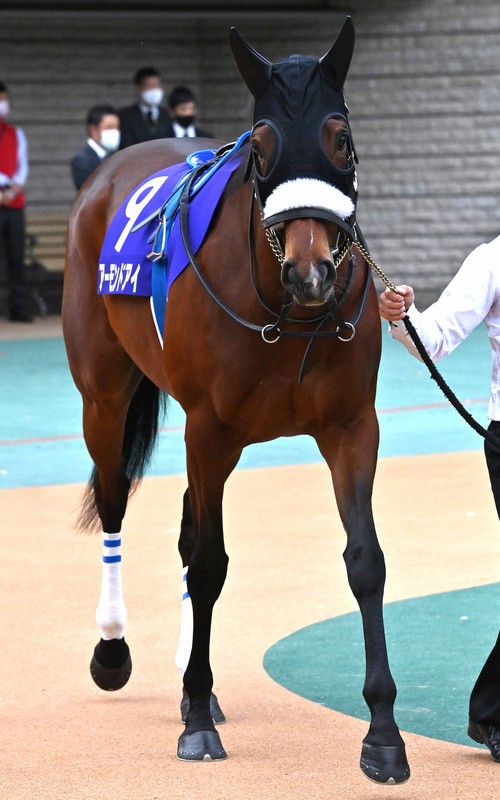 アーモンドアイ、史上初の「8冠」達成 天皇賞・秋を2連覇 [写真特集3/9