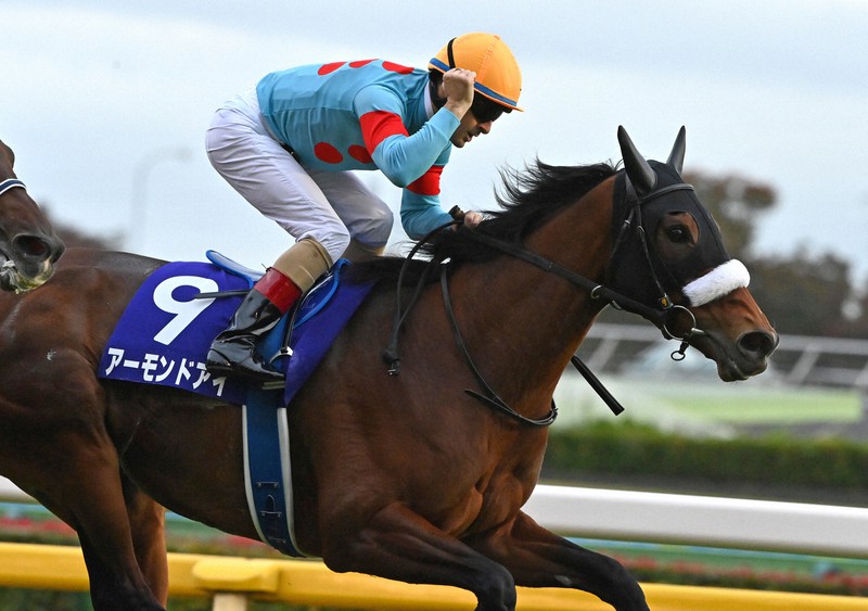 アーモンドアイ、史上初の「8冠」達成 天皇賞・秋を2連覇 [写真特集3/9