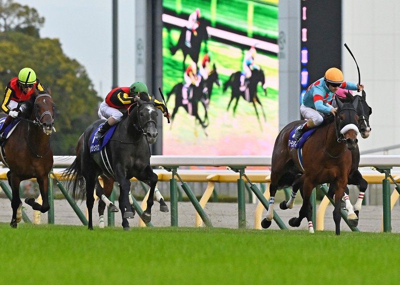 アーモンドアイ、史上初の「8冠」達成 天皇賞・秋を2連覇 [写真特集3/9