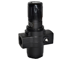 R17-800-RNLA | R17 Series, general purpose regulator, 1