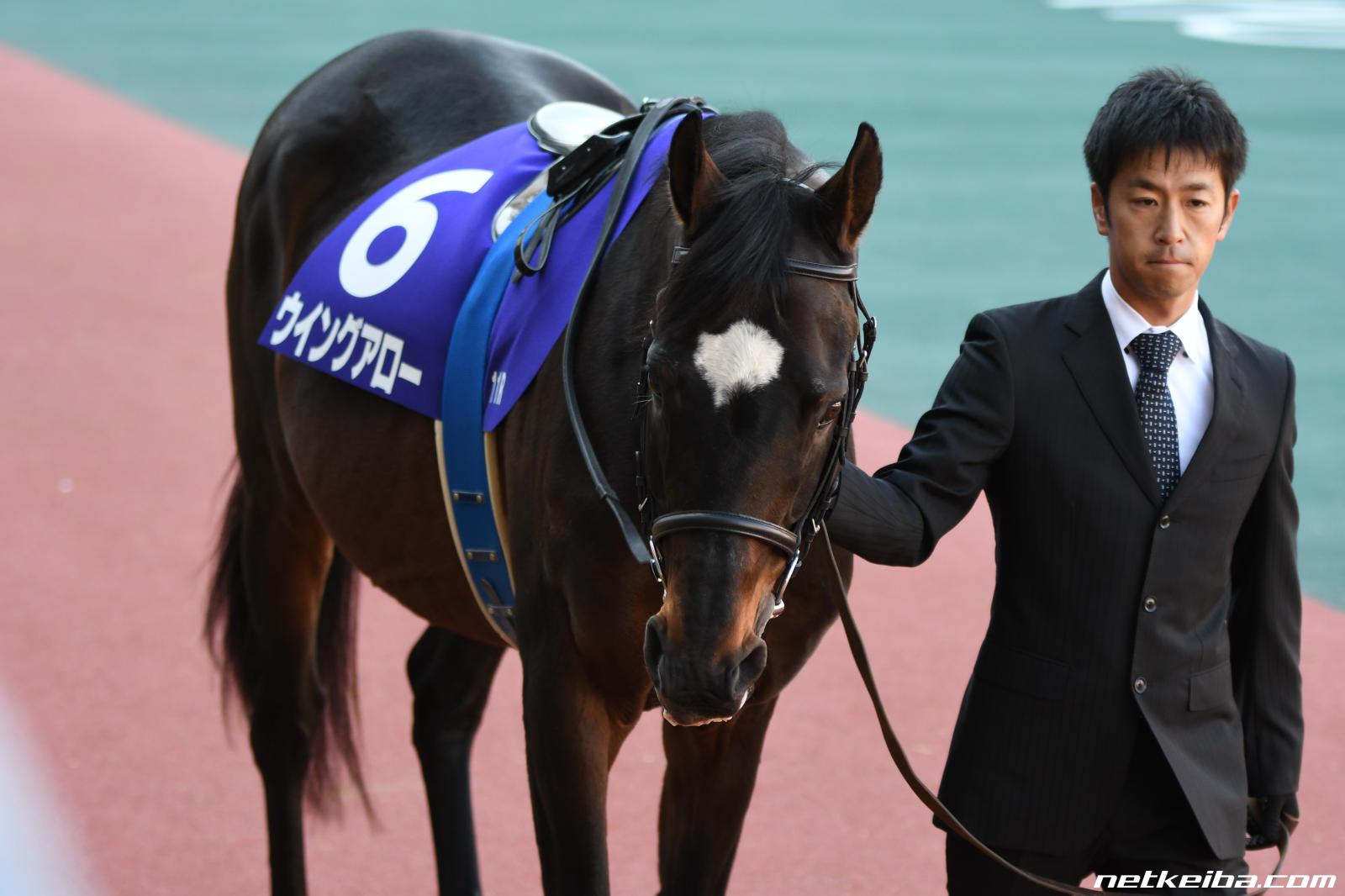 ウイングアロー (Wing Arrow) | 競走馬データ - netkeiba