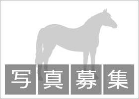 ブチコの2025 | 競走馬データ - netkeiba