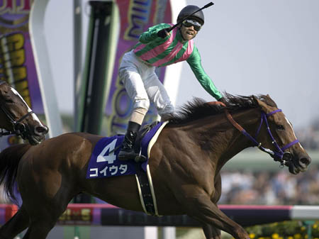 コイウタの2015」が4100万円で落札 父はロードカナロア/千葉