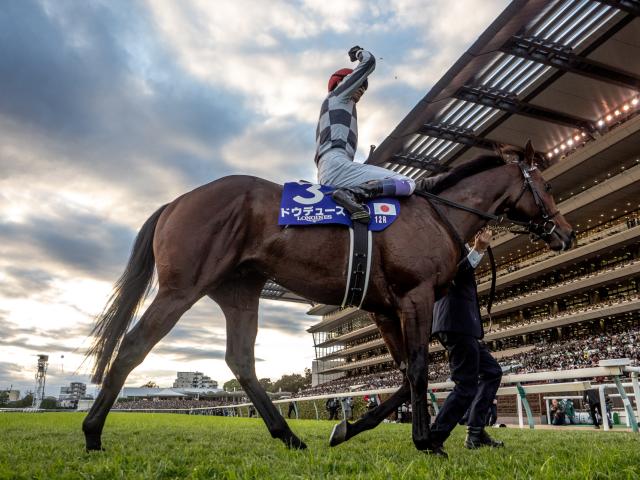 競馬】イクイノックス セット⑤ イクイノックス イクイノックス