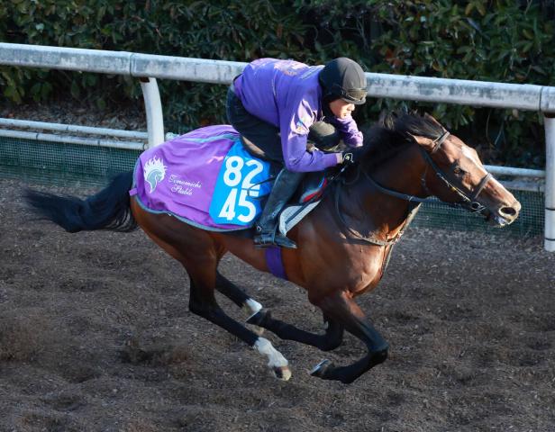 ダービー馬タヤスツヨシが死亡 | 競馬ニュース - netkeiba