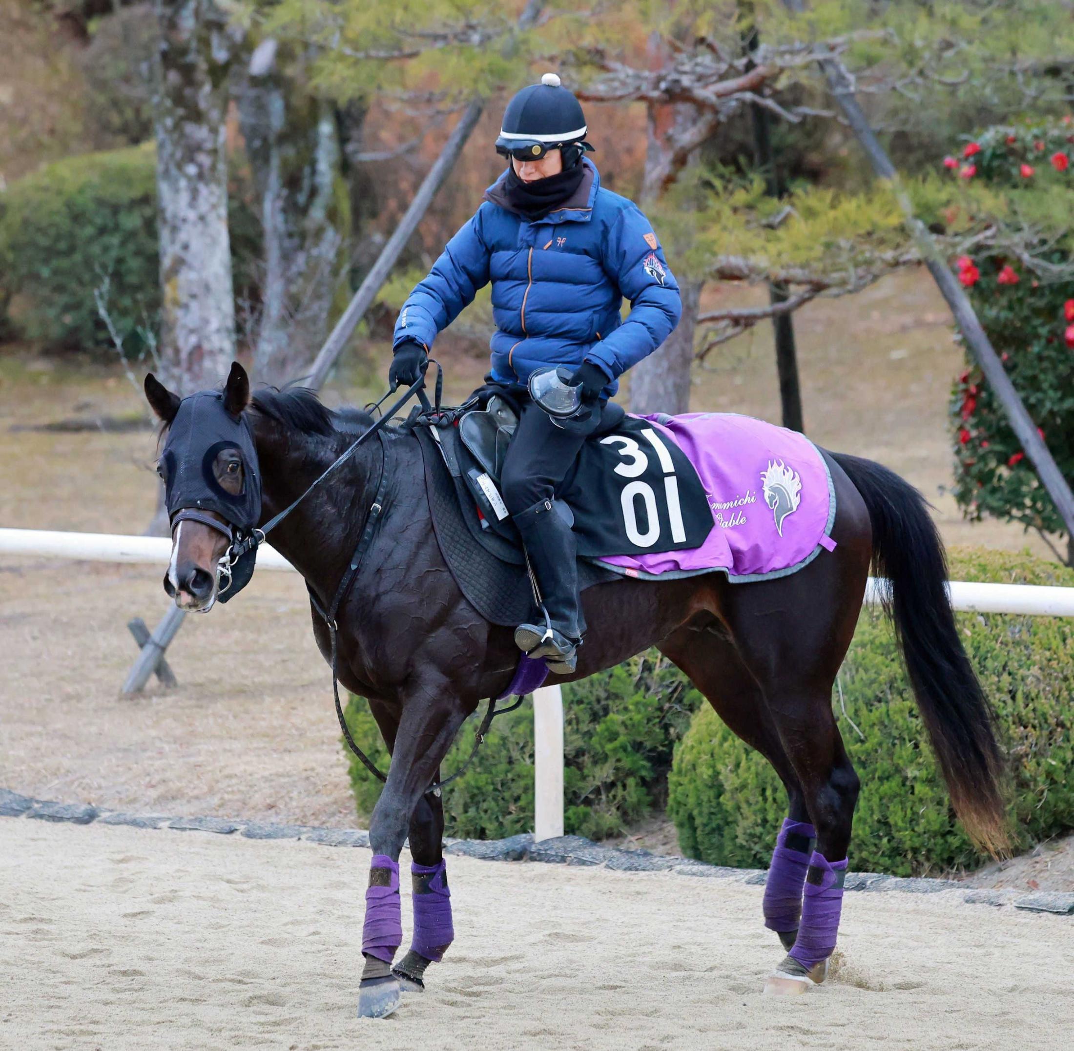 2003年の二冠馬ネオユニヴァースが死亡 産駒にはヴィクトワールピサ