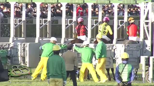 中山金杯(G3) 結果・払戻 | 2026年1月4日 中山11R レース情報(JRA