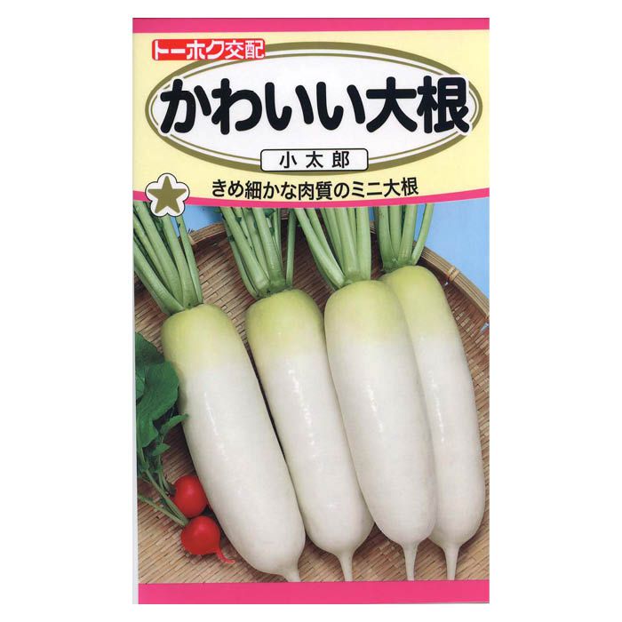 トーホク ダイコン かわいい大根小太郎 ＜根菜の種＞の通販｜ダイコン