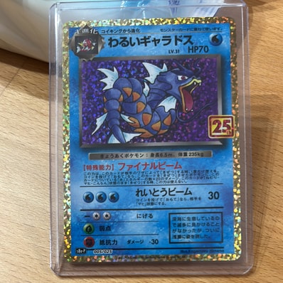 わるいギャラドス: プロモ[S8a-P 005/025](プロモカードパック 25th