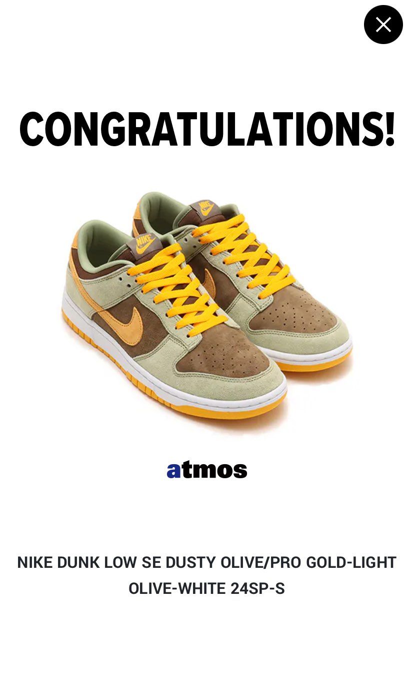 ナイキ ダンク ロー SE 