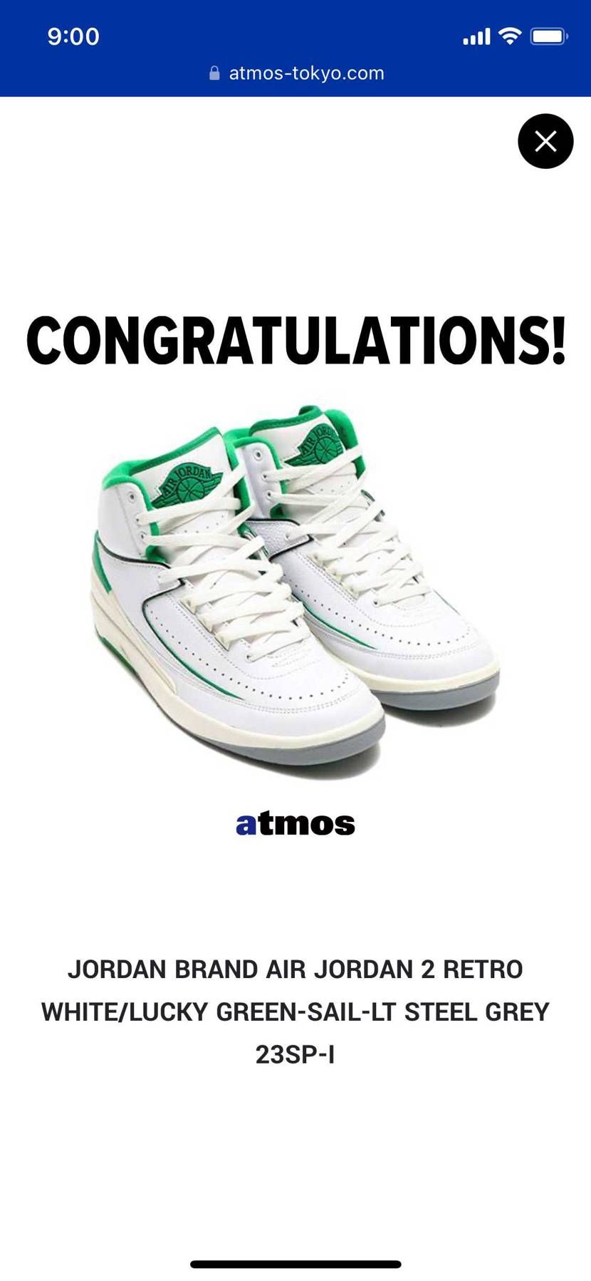 ナイキ GS エアジョーダン2 レトロ 