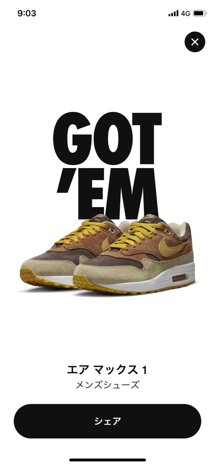 ナイキ エアマックス1 ダックパック 