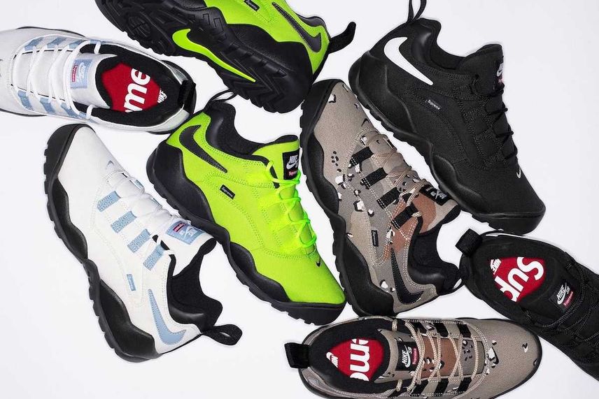 Supreme × Nike SB Darwin Low 