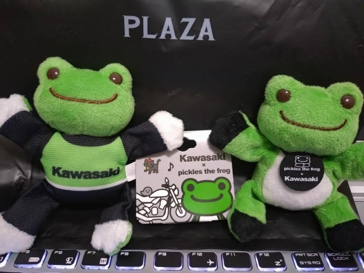 カワサキ × かえるのピクルス カワサキ×かえるのピクルス マグネット