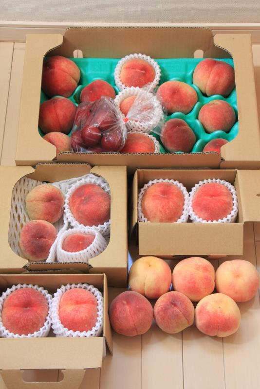 恒例・桃の買出し｜フレンドリー182のブログ｜スープラに乗っています
