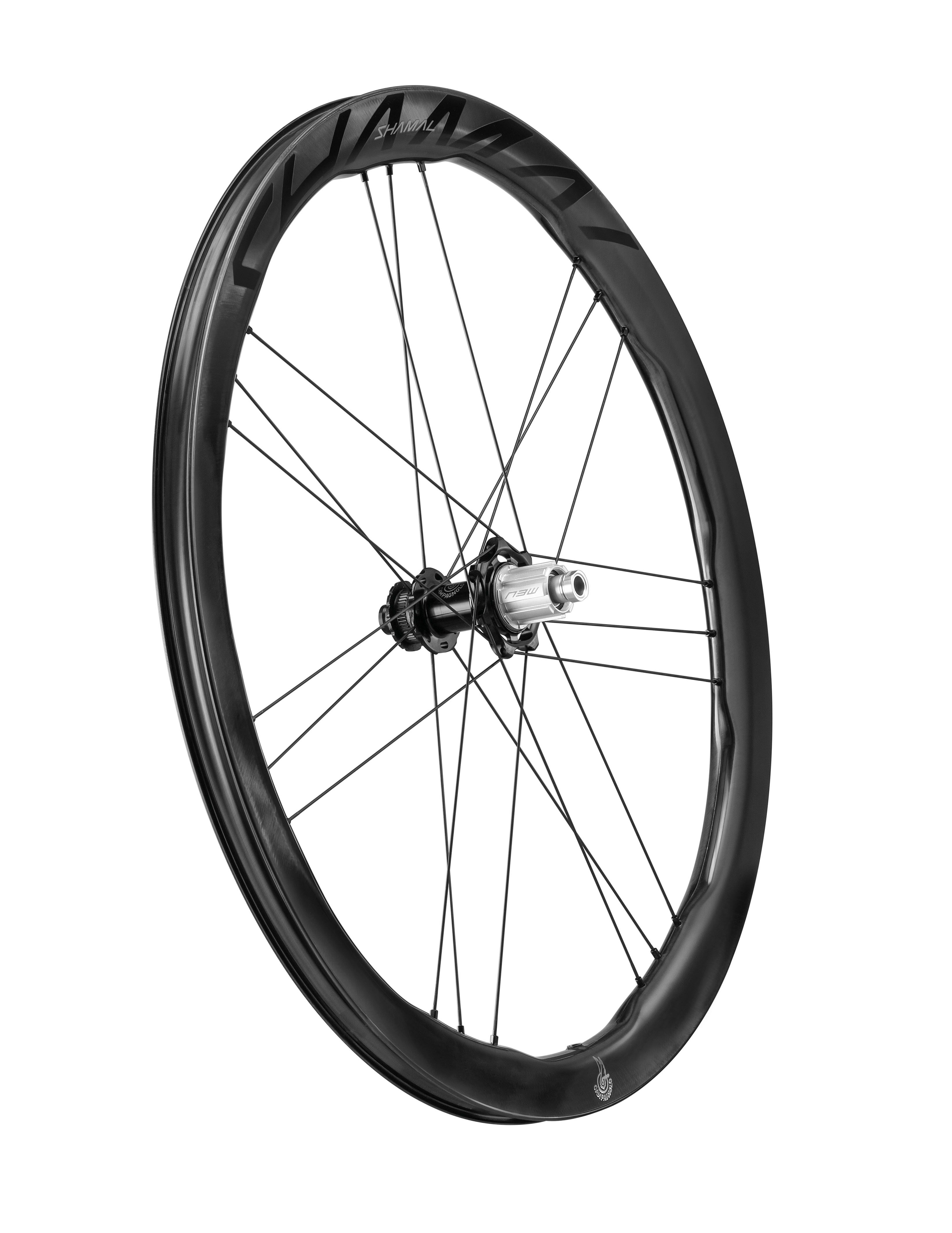 Campagnolo Shamal Dual Profile DB C23 Wheelset | Cicli Corsa
