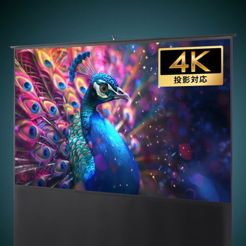 PRS-Y100HD【プロジェクタースクリーン（床置き式・100型・アスペクト