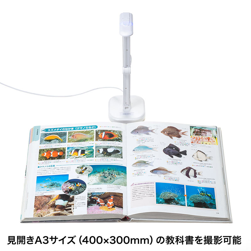 サンワダイレクト本店 サンワサプライ【オフィス・PC周辺通販】