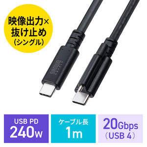 USB Type-Cケーブル（コネクタ種類 Type C-Type C・USB規格 USB 20Gbps
