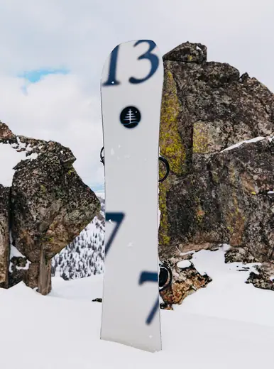 Burton Family Tree Hometown Hero Snowboard | SkatePro