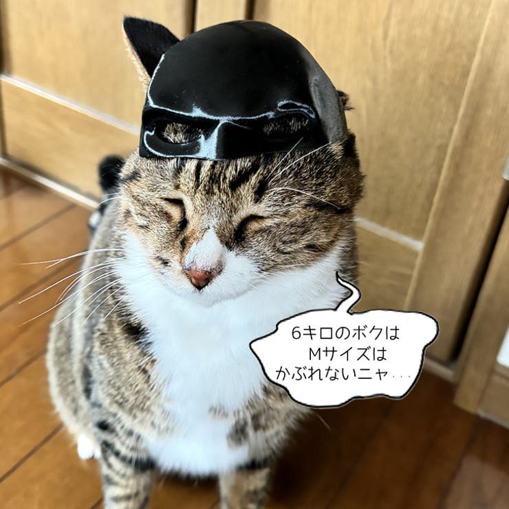 7228】バットマンペットマスク [品番：ASHW0001581]｜SneepDip（スニー