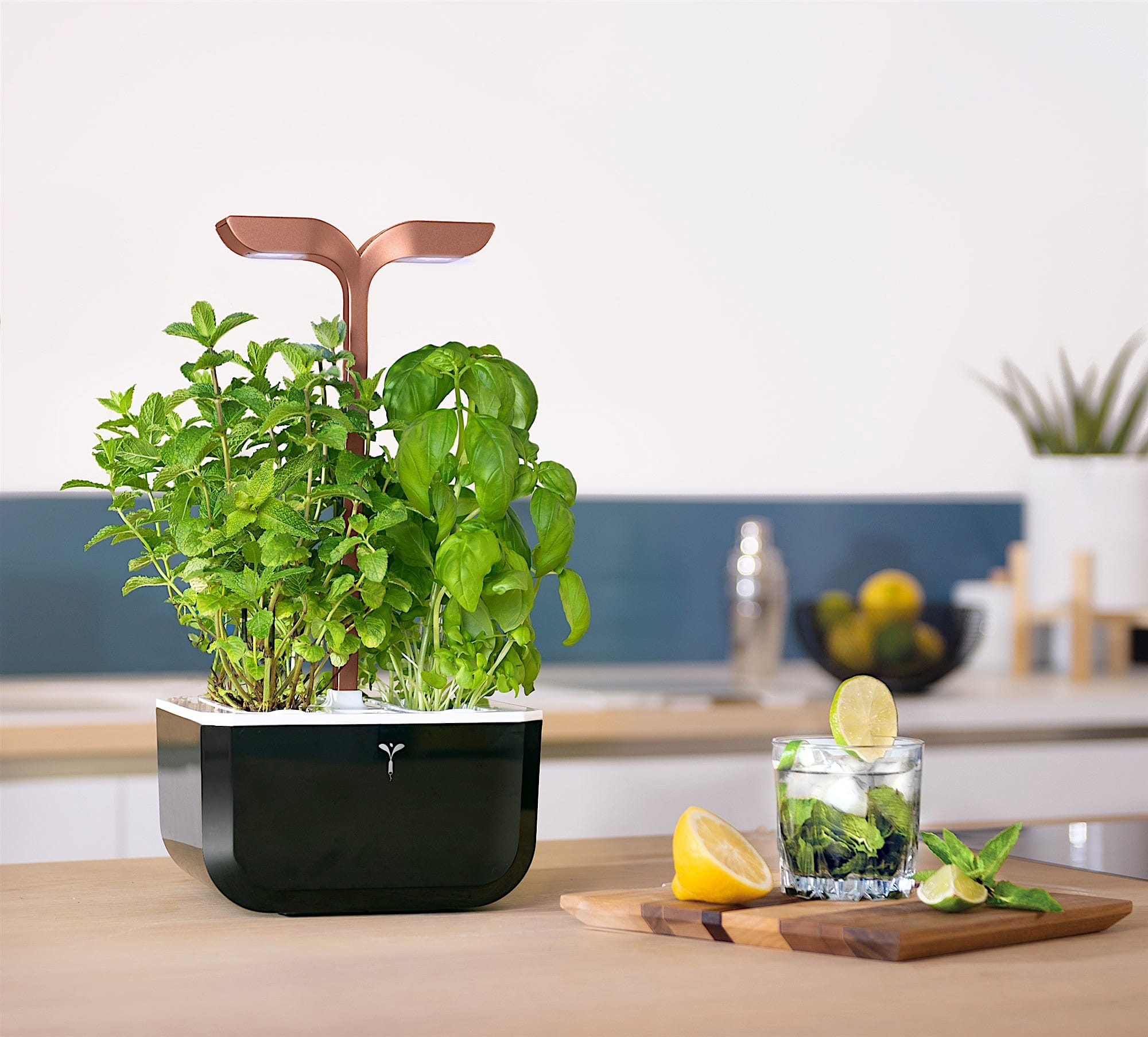 Exky® SMART Garden – Véritable SAS