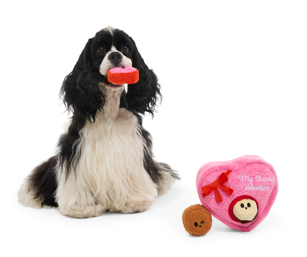 February 2026 Barkbox and Super Chewer Theme Reveal: Puppy Love – BARK