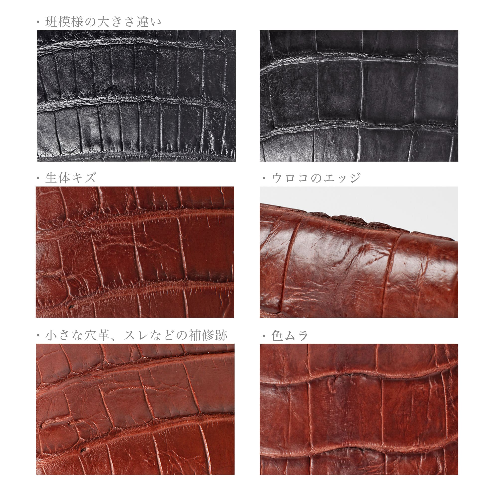 公式】 レザークラフトカンパニー 二つ折りウォレット Sebek ワニ革