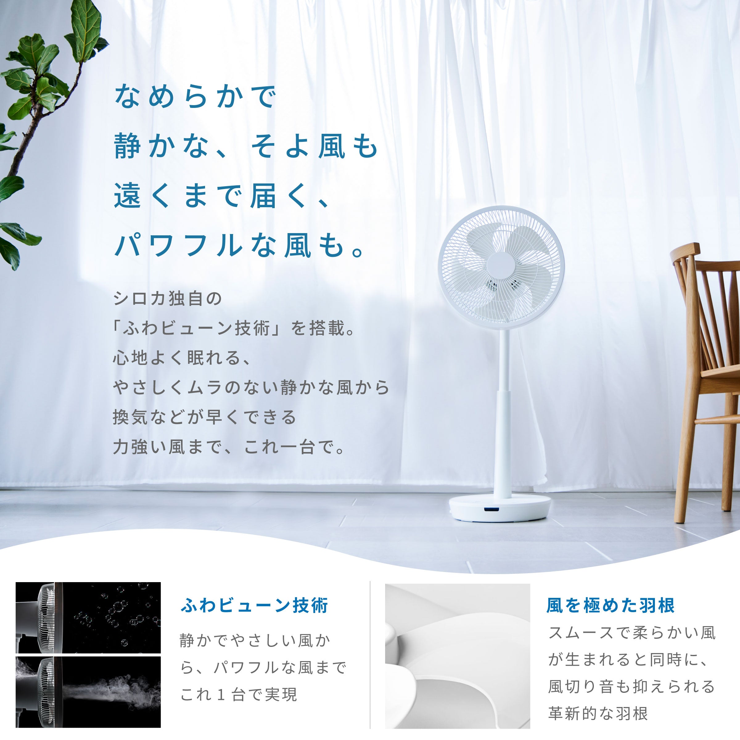 SF-V191_002_ecd943b7-39d0-4ec8