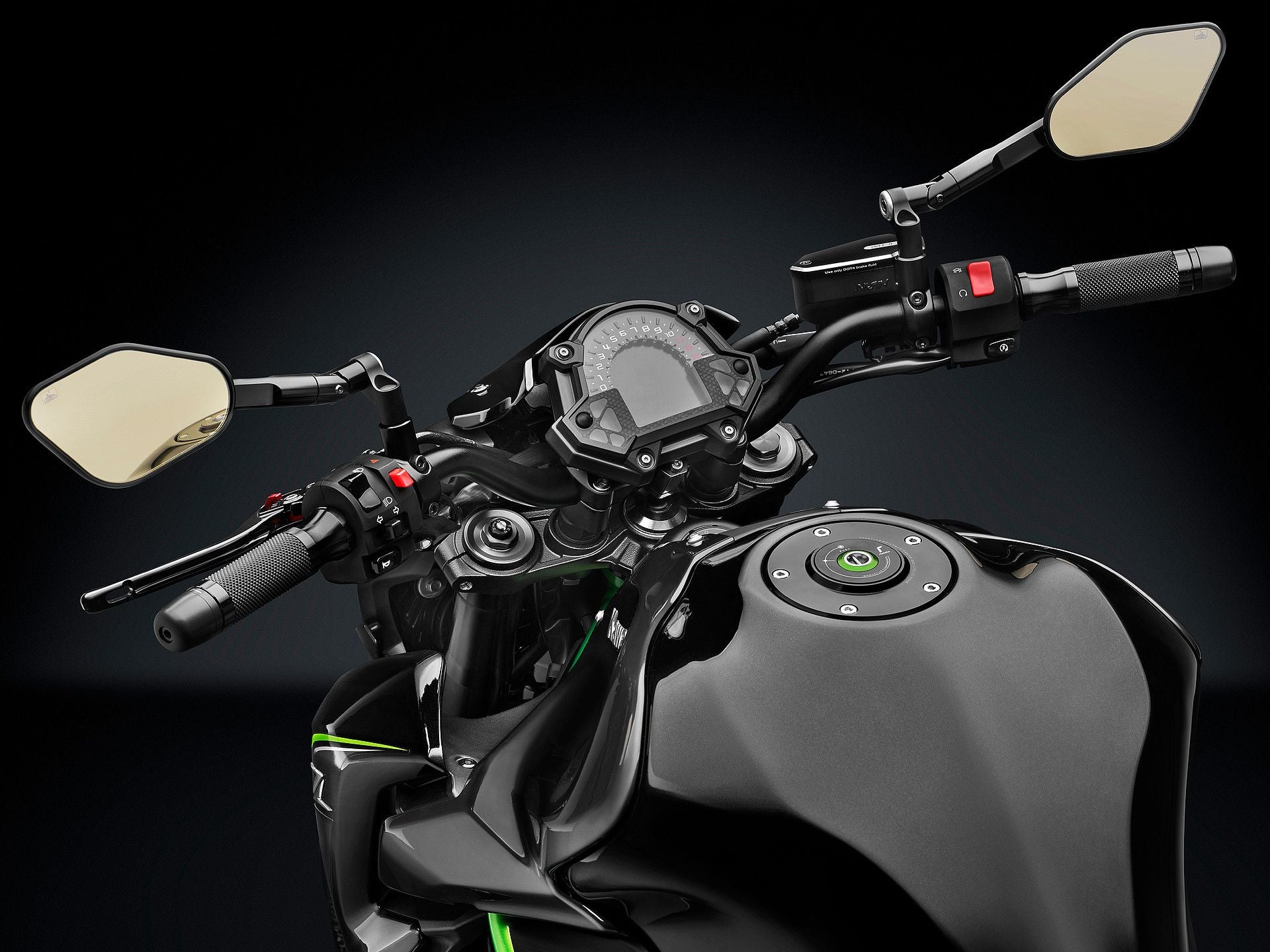 Z 900 (2019) – rizoma Japan