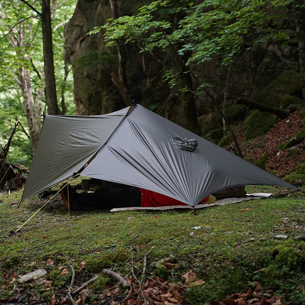 06_e22eab72-d21e-42d1-a191-