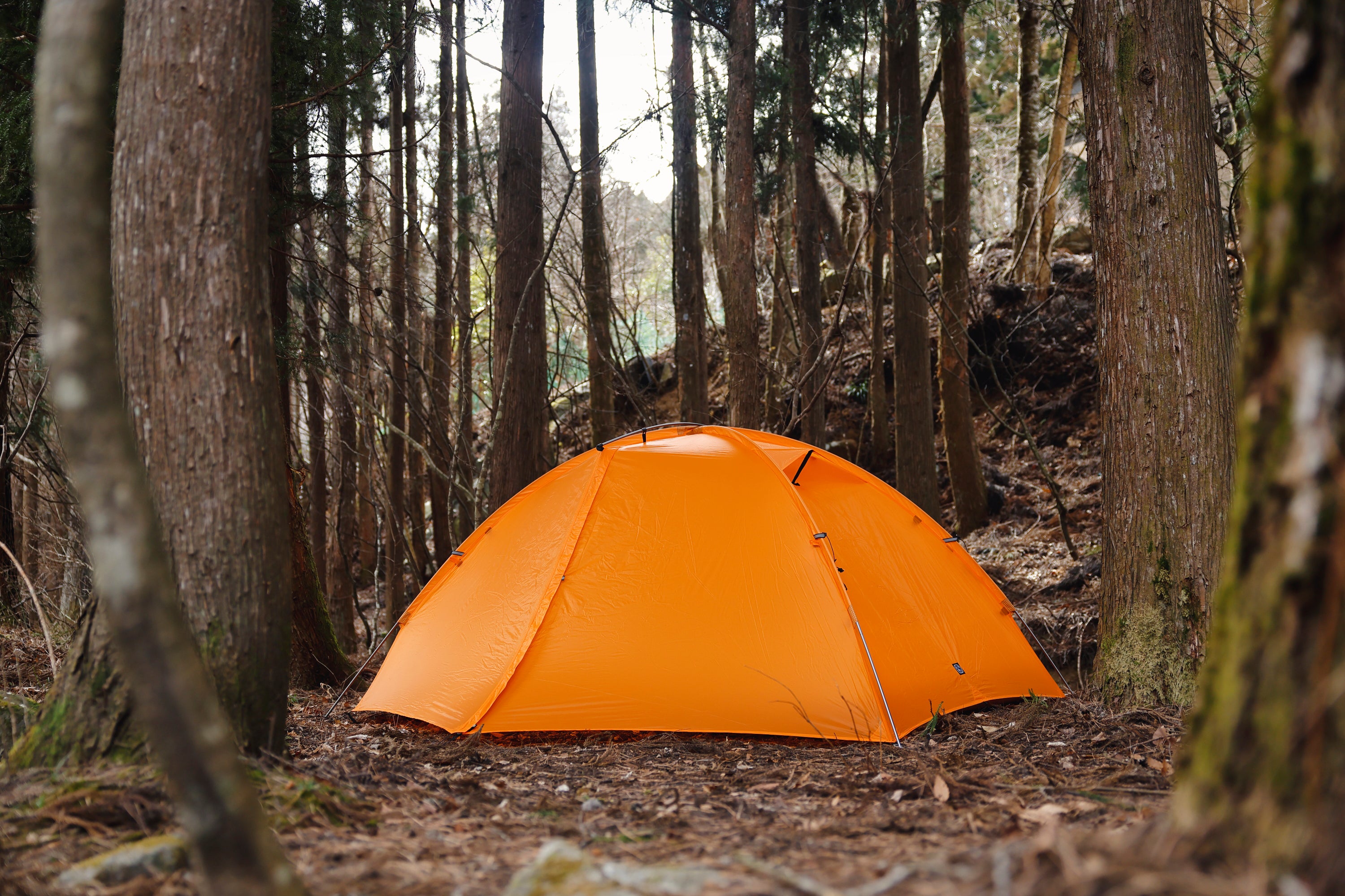 hinata別注】THE FREE SPIRITS（ザフリースピリッツ）Stars 2 - hinata