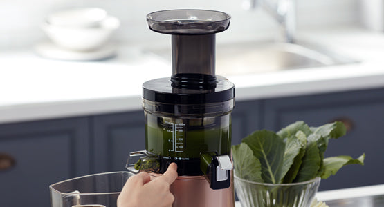 ヒューロム スロージューサー H26-WS17（ホワイトシルバー）– HUROM