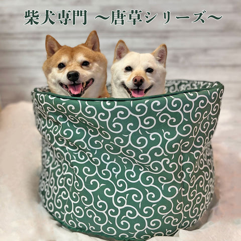 柴犬専門ブランド mamemochi から〜唐草まみれシリーズ〜 沼る唐草