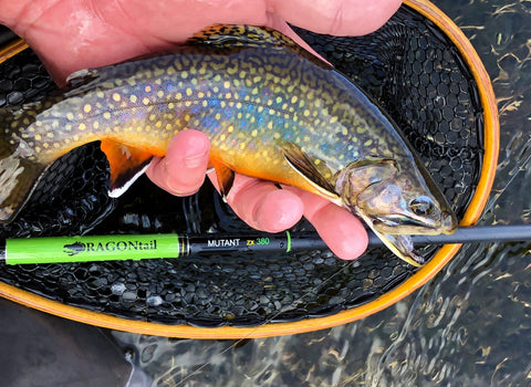 MUTANT zx380 Zoom Tenkara Rod — DRAGONtail Tenkara