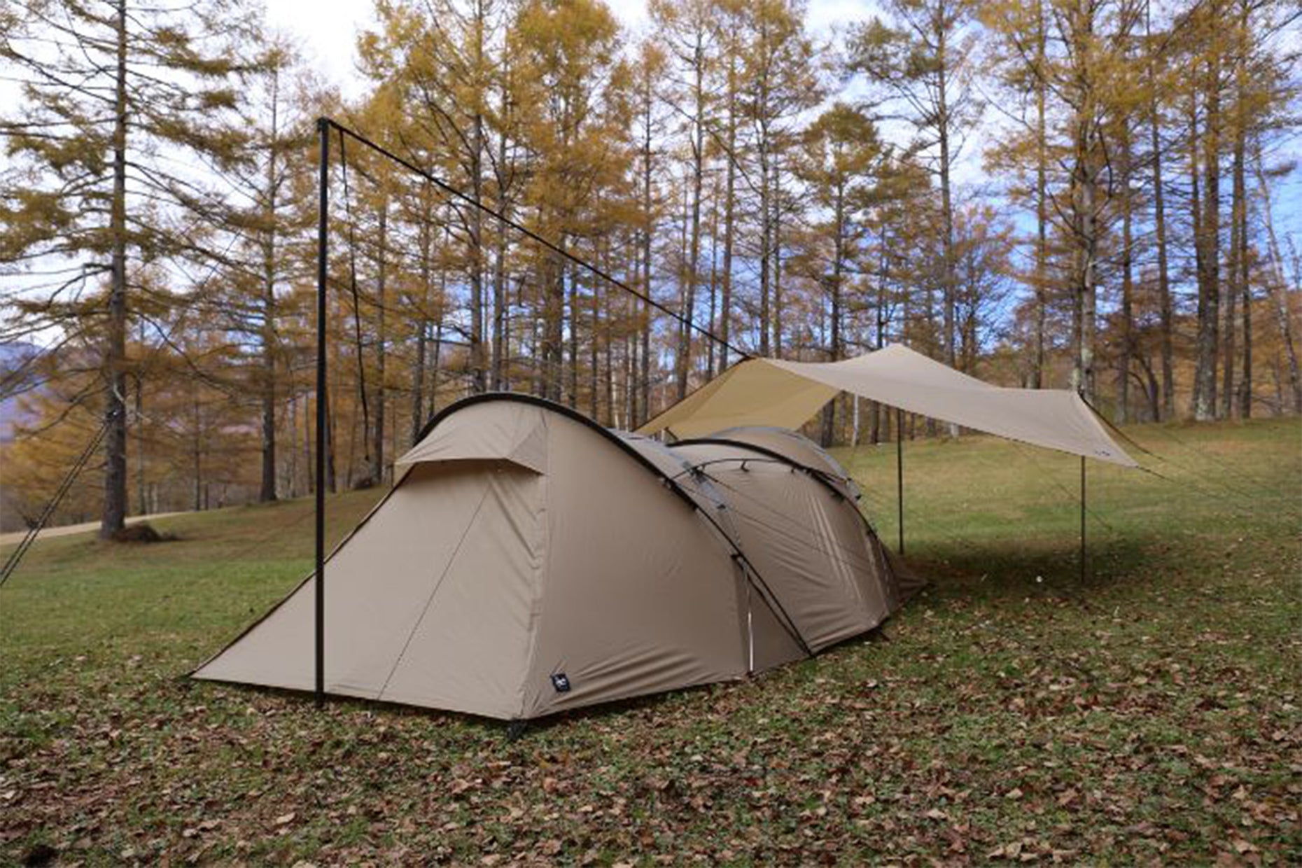 GEU | PRODUCTS | ZANE ARTS