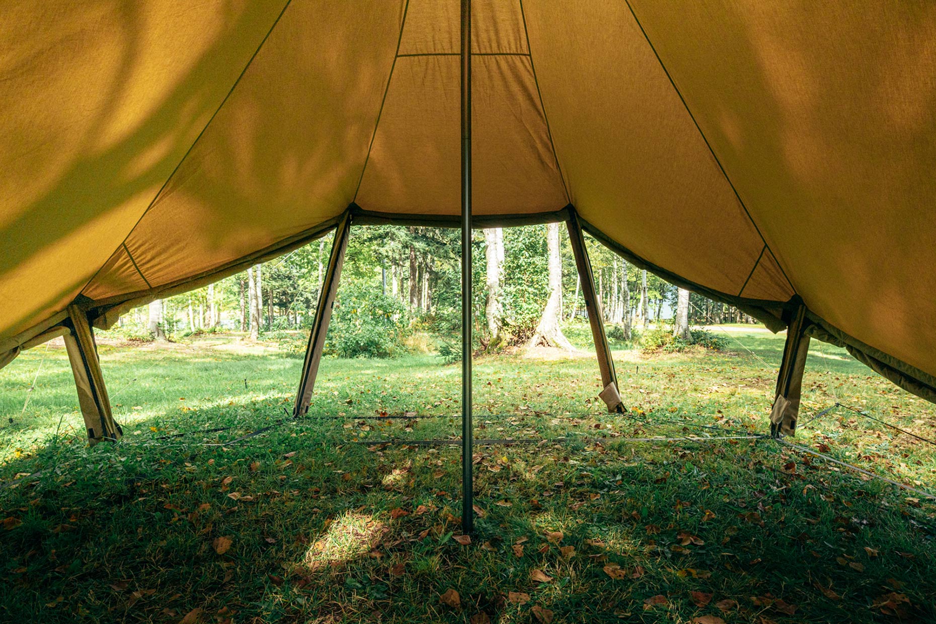 WOOTA-M TC | PRODUCTS | ZANE ARTS