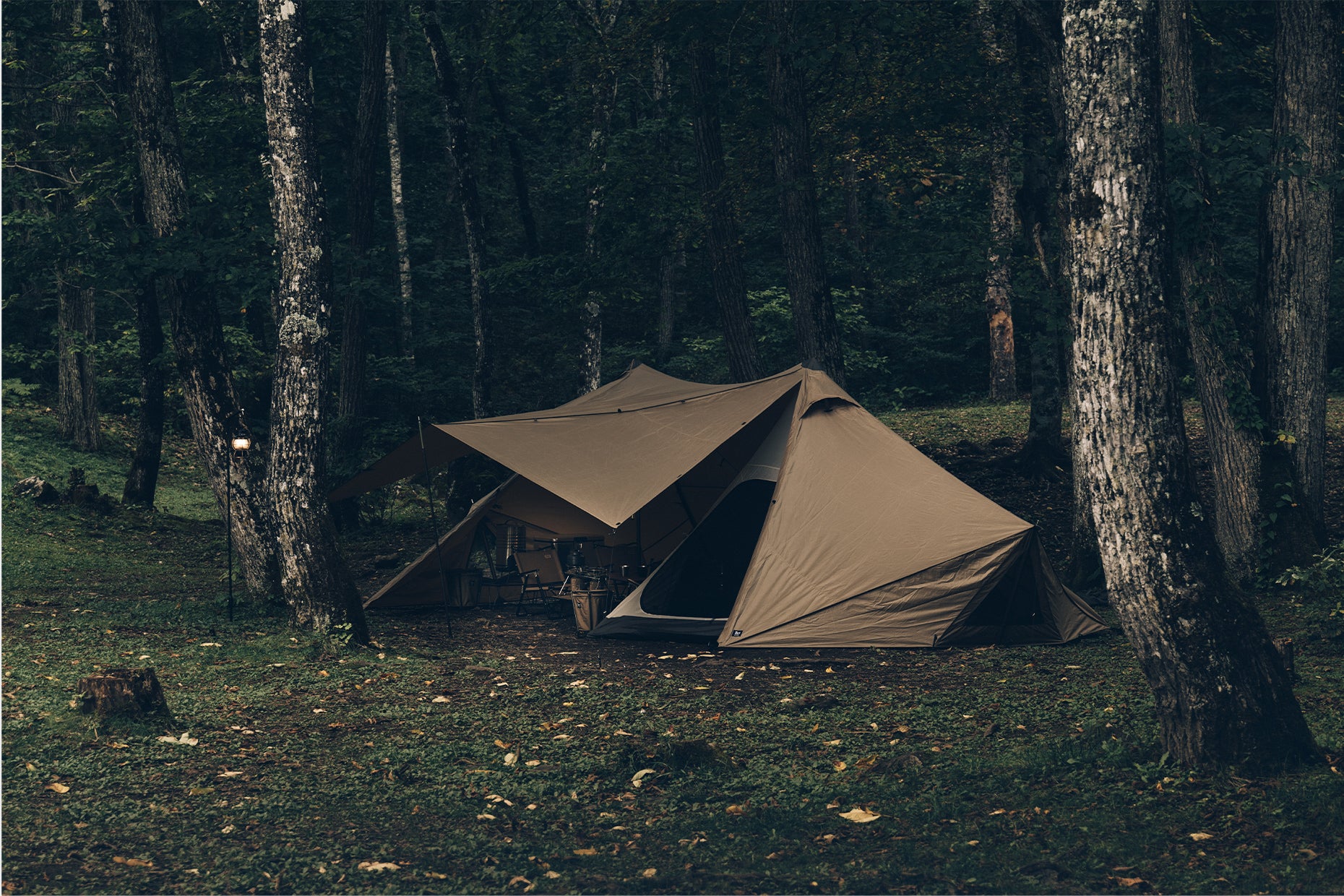 GIGI-2 | PRODUCTS | ZANE ARTS