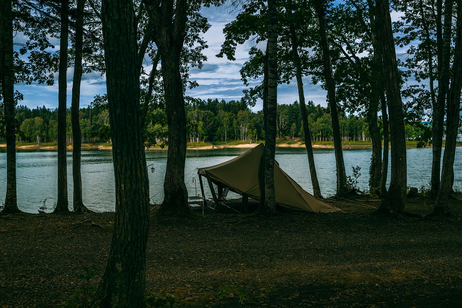 WOOTA-S TC | PRODUCTS | ZANE ARTS