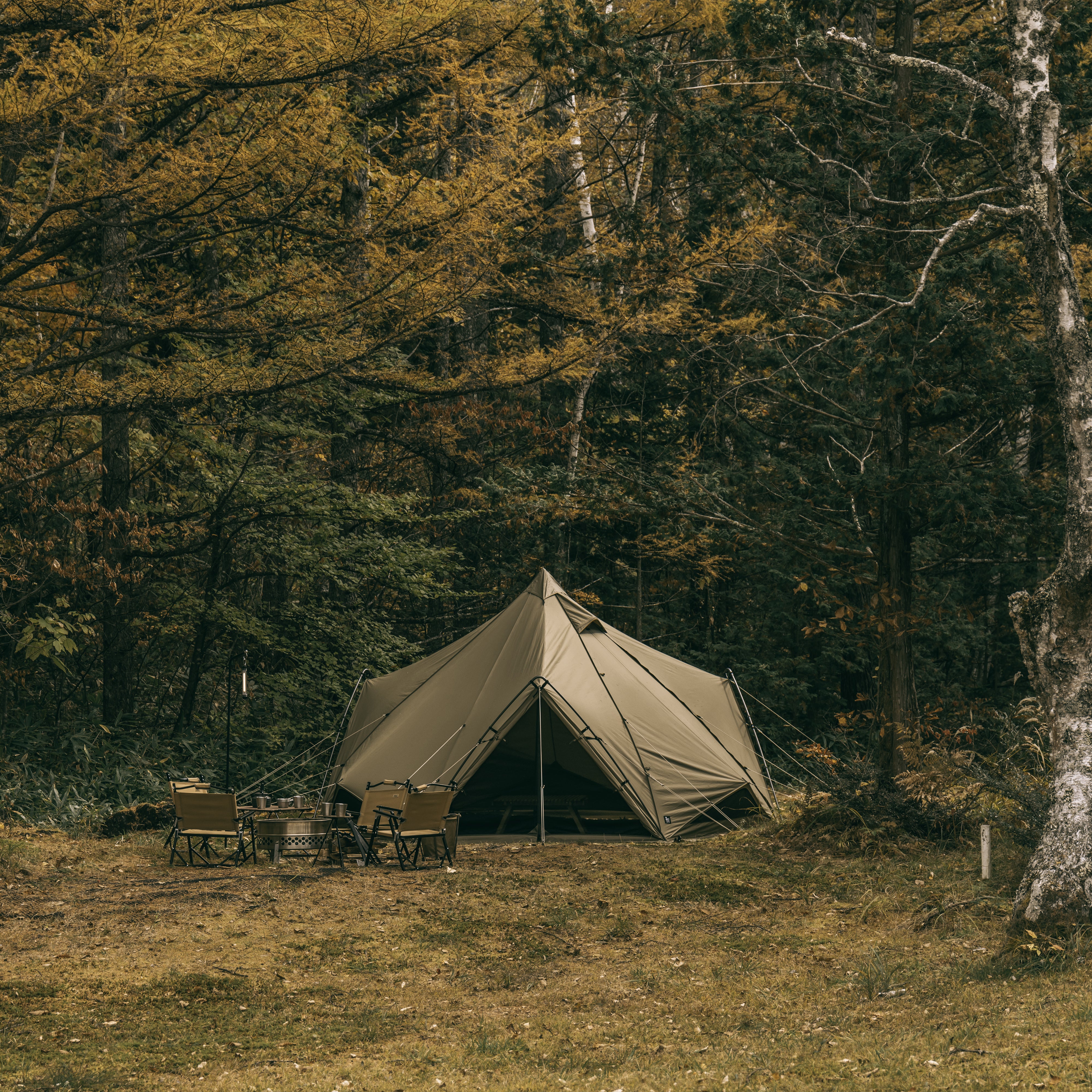 ZEKU-M TC | PRODUCTS | ZANE ARTS